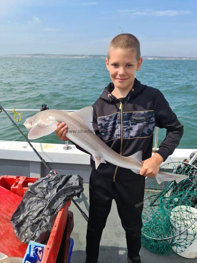7 lb Smooth-hound (Common) by Young Kyle