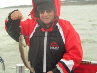 1 lb 5 oz Whiting by Bernard