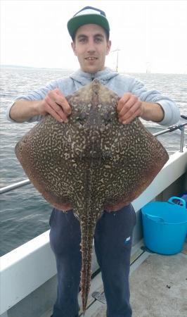 16 lb 15 oz Thornback Ray by Anthony Parry