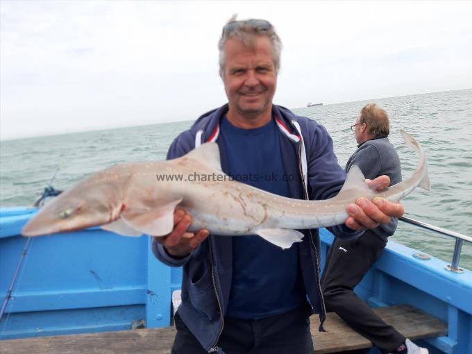 11 lb Smooth-hound (Common) by John's party