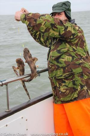 2 lb Lesser Spotted Dogfish by Colin