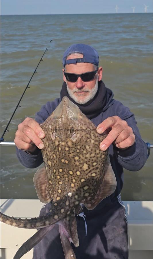 5 lb Thornback Ray by Phil