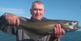 8 lb Pollock by ian