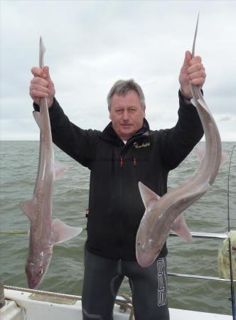 8 lb Smooth-hound (Common) by Bob Marshall