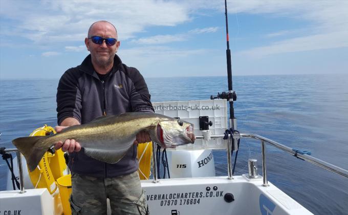 8 lb 5 oz Pollock by Dave