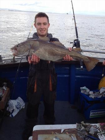 12 lb Cod by Unknown