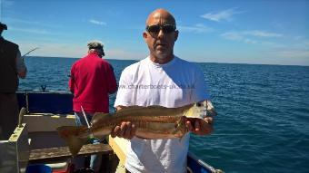 8 lb 8 oz Pollock by Stephen Wake