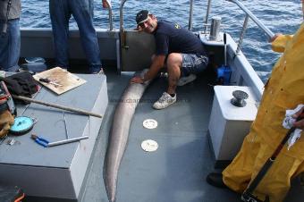 70 lb Conger Eel by Lee Jenner