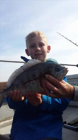 2 lb 3 oz Black Sea Bream by Unknown