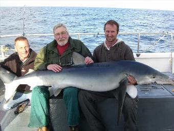 155 lb Blue Shark by mat sims