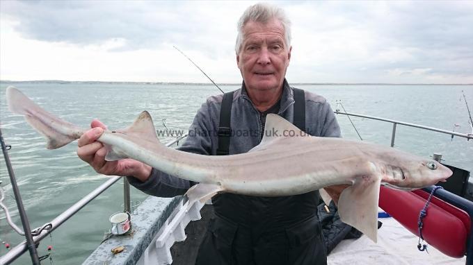 8 lb 8 oz Starry Smooth-hound by John from Broadstairs