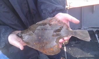 2 lb 7 oz Plaice by Unknown