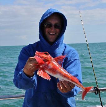 2 lb 2 oz Red Gurnard by Lyle Stantiford