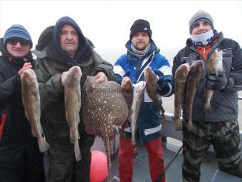 10 lb Thornback Ray by lots of codling for Tomo
