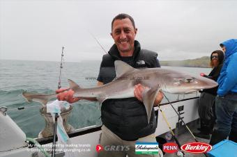 12 lb Starry Smooth-hound by Dave