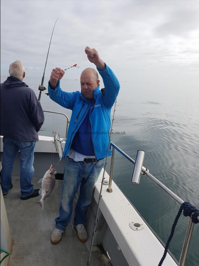 2 lb 4 oz Black Sea Bream by Unknown