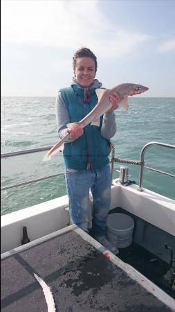 7 lb Starry Smooth-hound by Bob Marshall