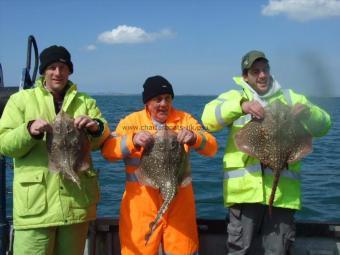 8 lb Thornback Ray by Unknown