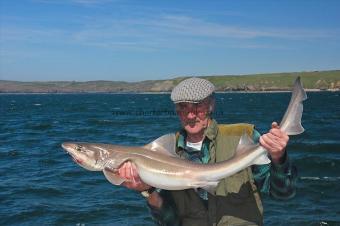 19 lb Starry Smooth-hound by Tom