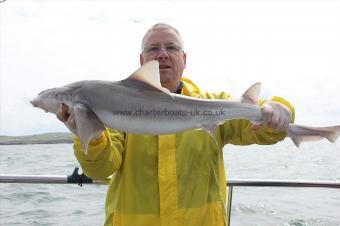 11 lb Starry Smooth-hound by John