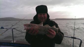 2 lb 5 oz Cod by Unknown