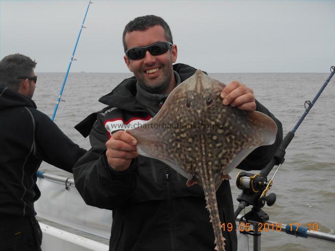 3 lb Thornback Ray by Tony Seargent