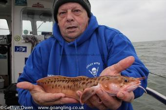 1 lb Three Bearded Rockling by Paul