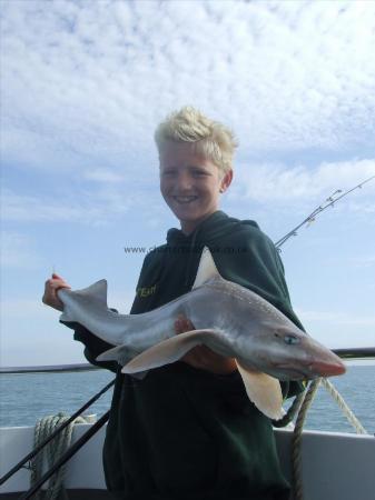 11 lb Smooth-hound (Common) by jake caines?