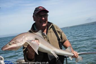 16 lb Starry Smooth-hound by Peter