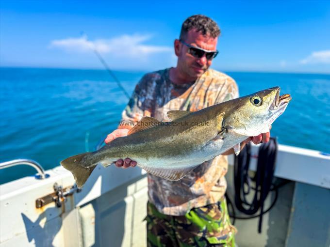 10 lb 15 oz Pollock by Mark