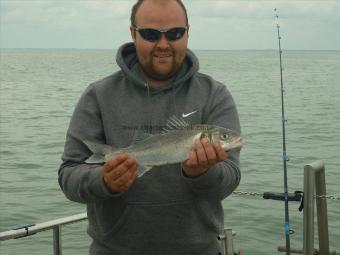 9 lb Smooth-hound (Common) by ian bridges