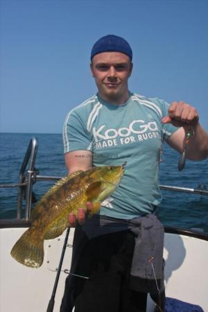 2 lb Ballan Wrasse by Sion