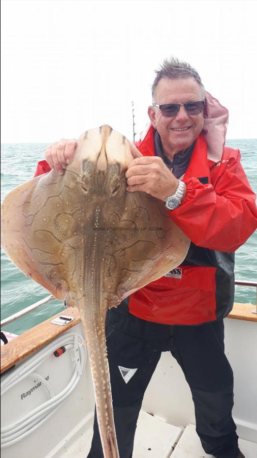 15 lb 14 oz Undulate Ray by Rob the Skipper