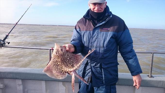 6 lb 2 oz Thornback Ray by Unknown