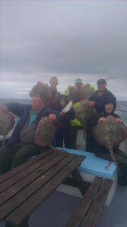 10 lb Thornback Ray by tims party