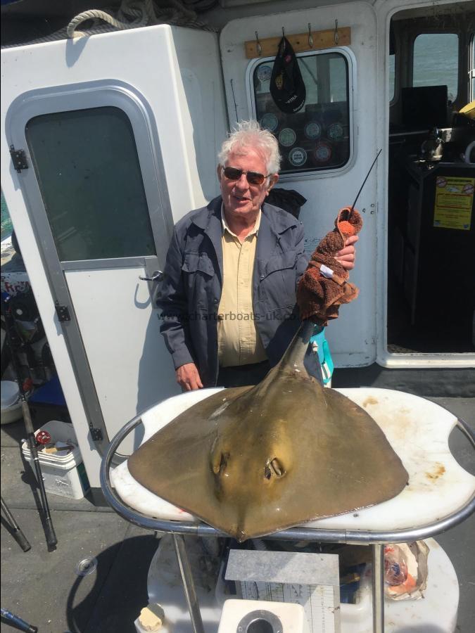 32 lb Stingray (Common) by Unknown