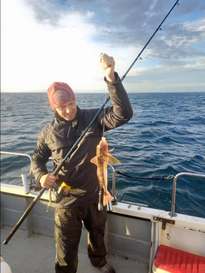 1 lb 8 oz Tub Gurnard by Chriss