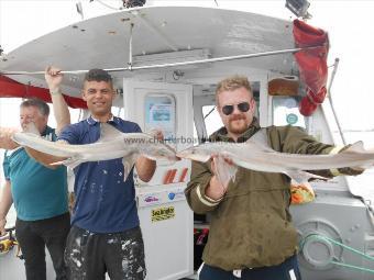 5 lb Starry Smooth-hound by Ant and Matt