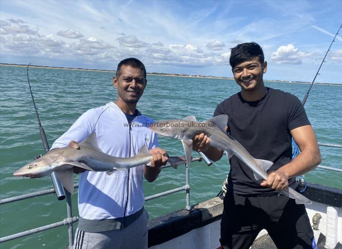 6 lb Smooth-hound by Unknown