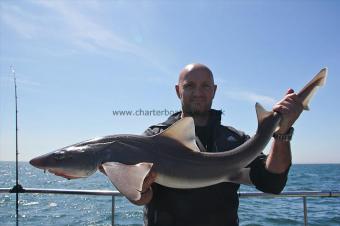 14 lb Starry Smooth-hound by Richard