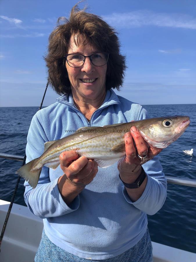 2 lb Whiting by Jan Hill