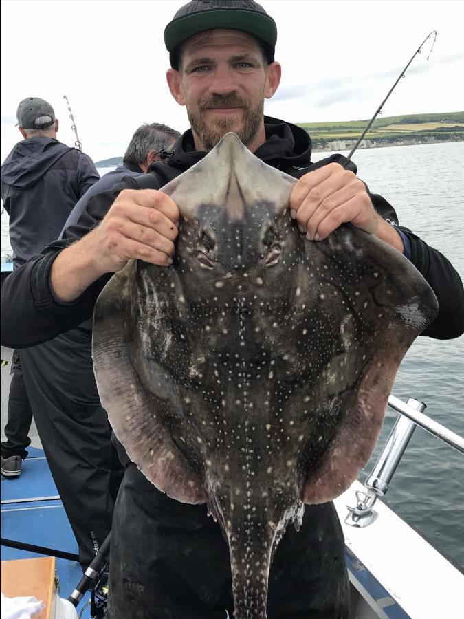15 lb 8 oz Undulate Ray by Ben D, caught the same fish 10 minutes later
