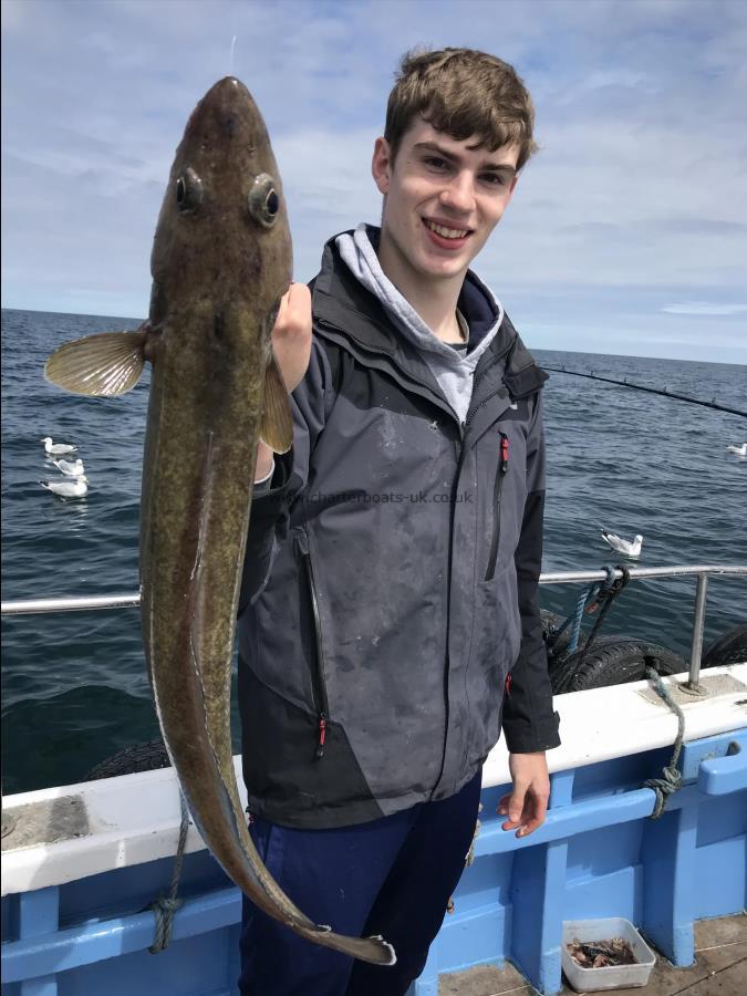 8 lb Ling by Doug Ling catching wreck fishing