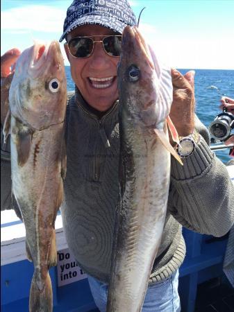 7 lb Cod by victor 15/7/2016 catching fish for the old ladies