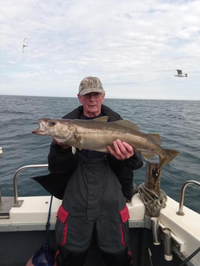 7 lb Pollock by Brian