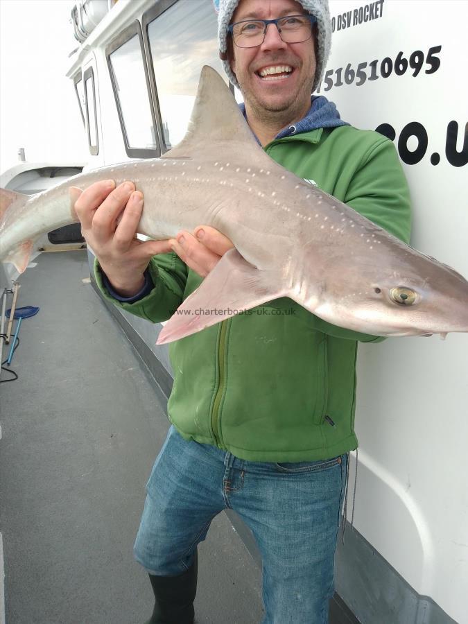 1 lb Starry Smooth-hound by Unknown