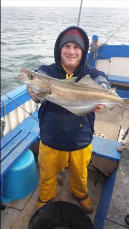 6 lb 9 oz Pollock by Skipper