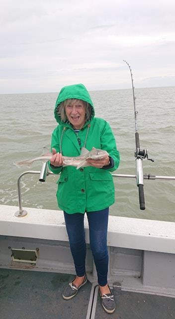 2 lb 4 oz Smooth-hound by Gaby