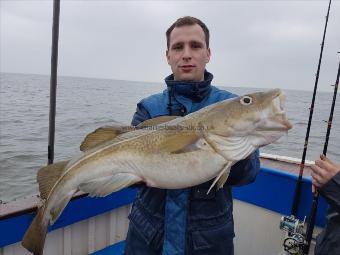 11 lb Cod by Unknown