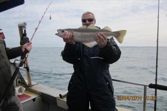 4 lb 8 oz Pollock by Stephen Wake